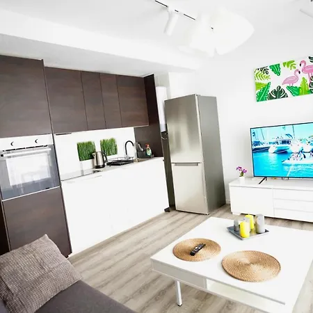 Disfruta Del Mar Torrevieja